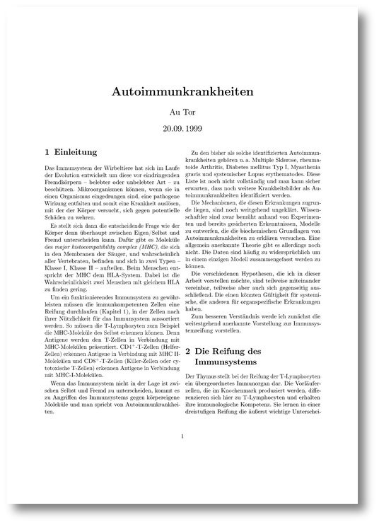 berarbeitete Datei, zweispaltig, DIN A4
