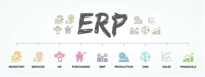 Software Programming Company